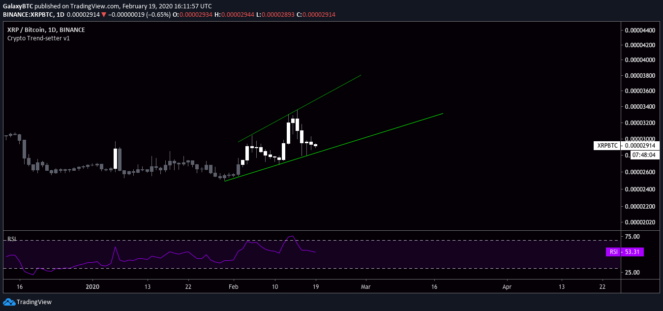 XRP Crypto