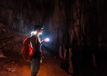 litecoin altcoin crypto bitcoin