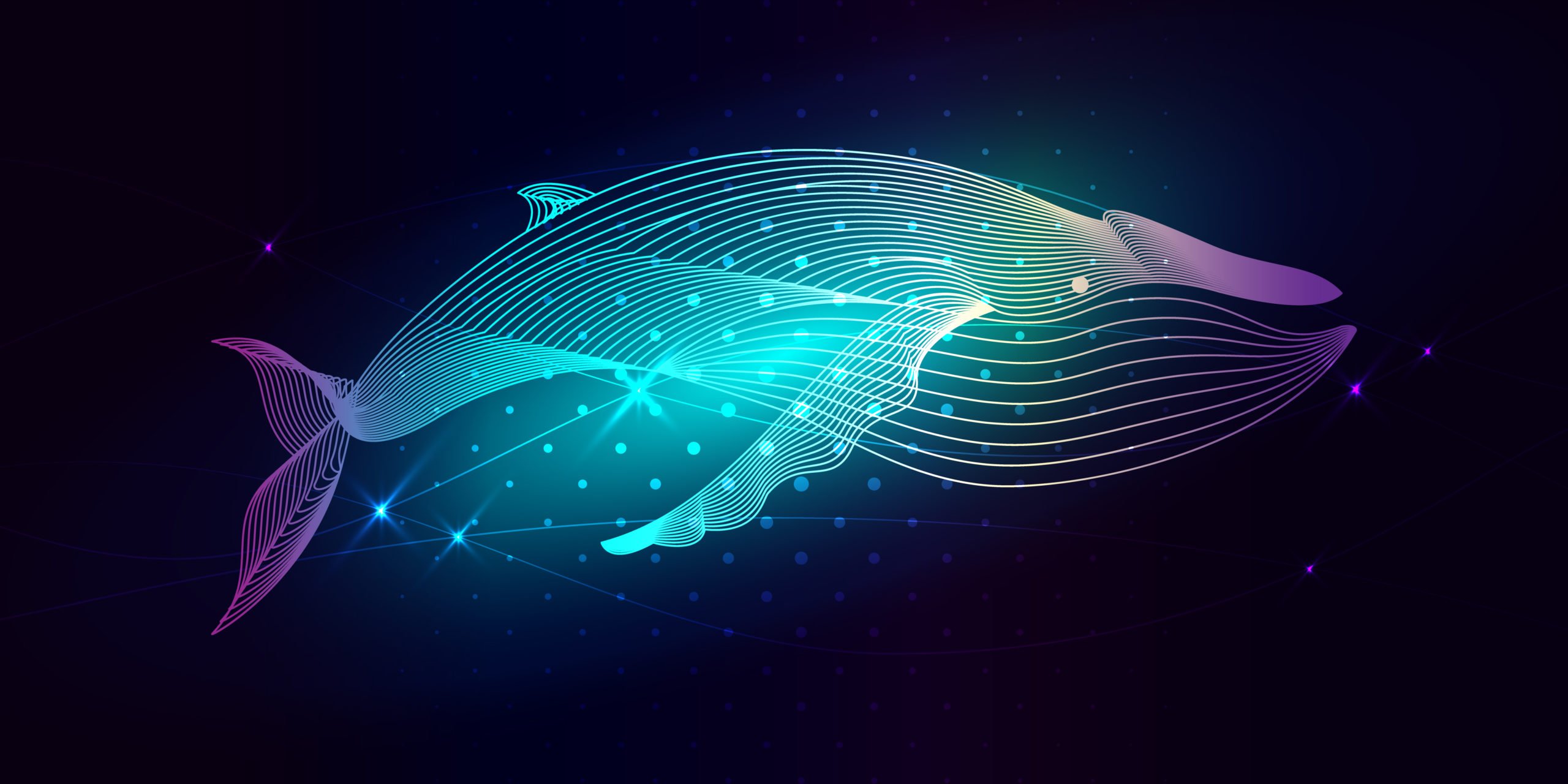 Millionaire Bitcoin Whale on Bitfinex Not Convinced of Crazy 46% Rally