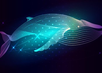 Millionaire Bitcoin Whale on Bitfinex Not Convinced of Crazy 46% Rally