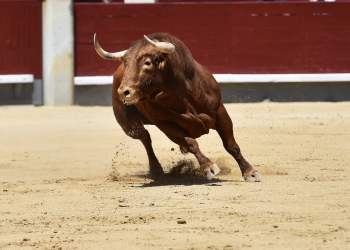 bitcoin, cryptocurrency