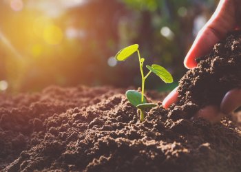 Ripple’s XRP On Verge of Rally to $0.70 Because of 7 Technical Factors