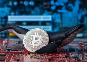 A $2M Bitcoin Long Just Got Liquidated on Binance; Start of a Steep Correction?