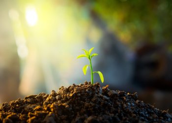 Ripple XRP outperformance 130%