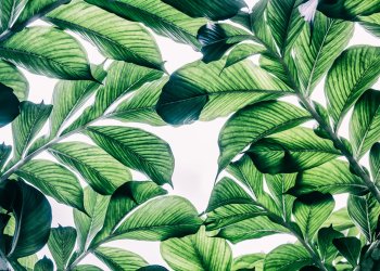 “Striking” Fractal Shared by Accurate Analyst: Bitcoin to Soon Explode Past $9,000