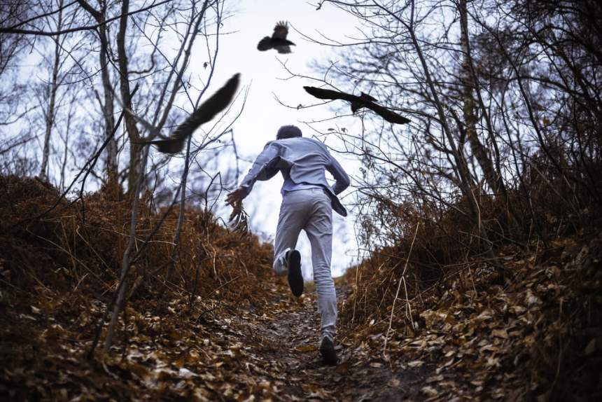 bitcoin schiff scared