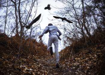 bitcoin schiff scared