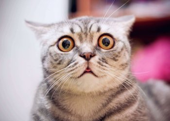 Indicator That Signaled Bitcoin’s Bottom at $6,400: Price on Verge of Steep Pullback