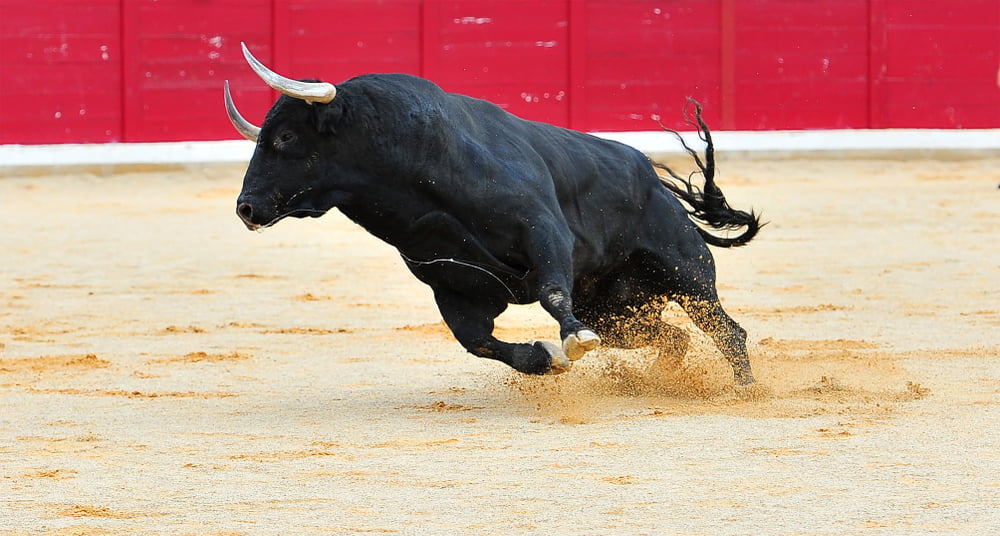 Crypto Market Could Be Due For a 2-Year Bull Run, Says Top Analyst