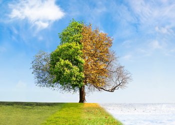 Seasonality in Bitcoin: Will Spring Bring a Return of Growth to Cryptocurrency?