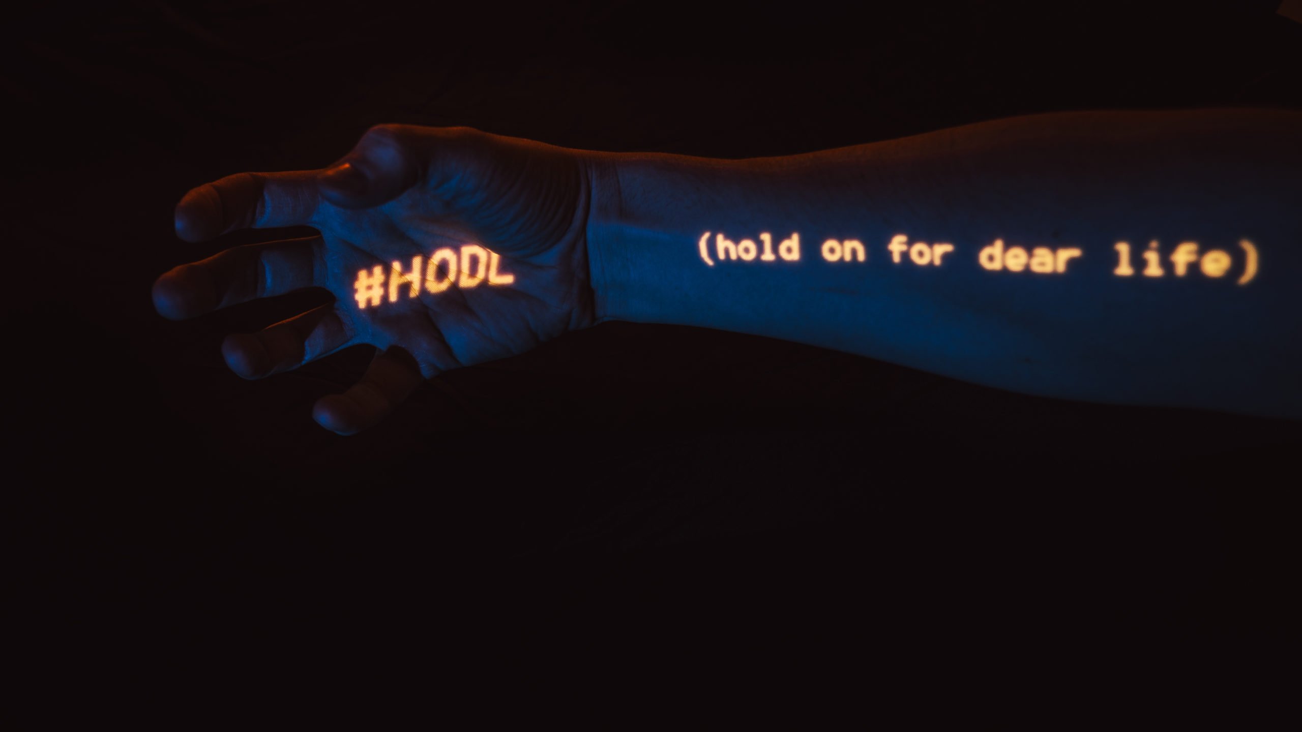 Crypto Market Panic Selloff Barely Fazed Long Term Holders