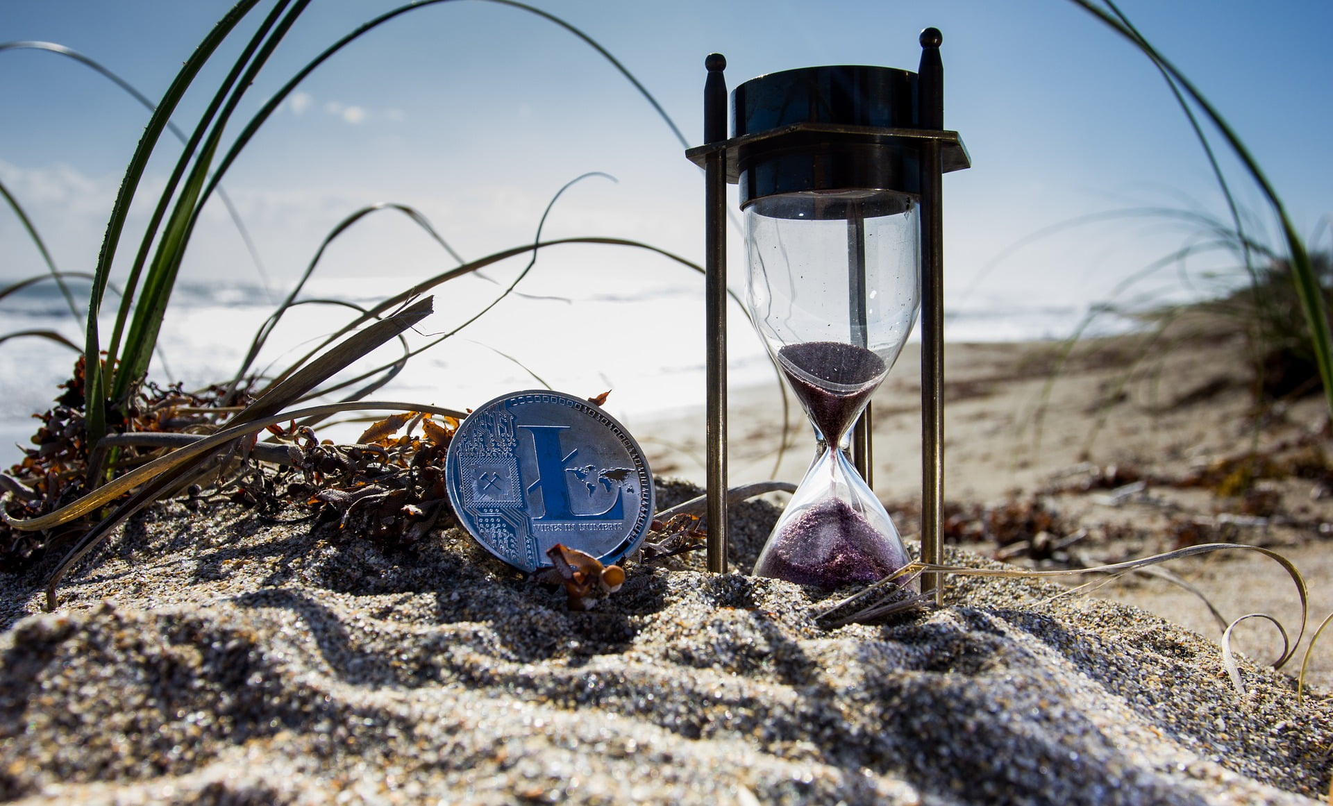 Litecoin During the COVID-19 Hysteria