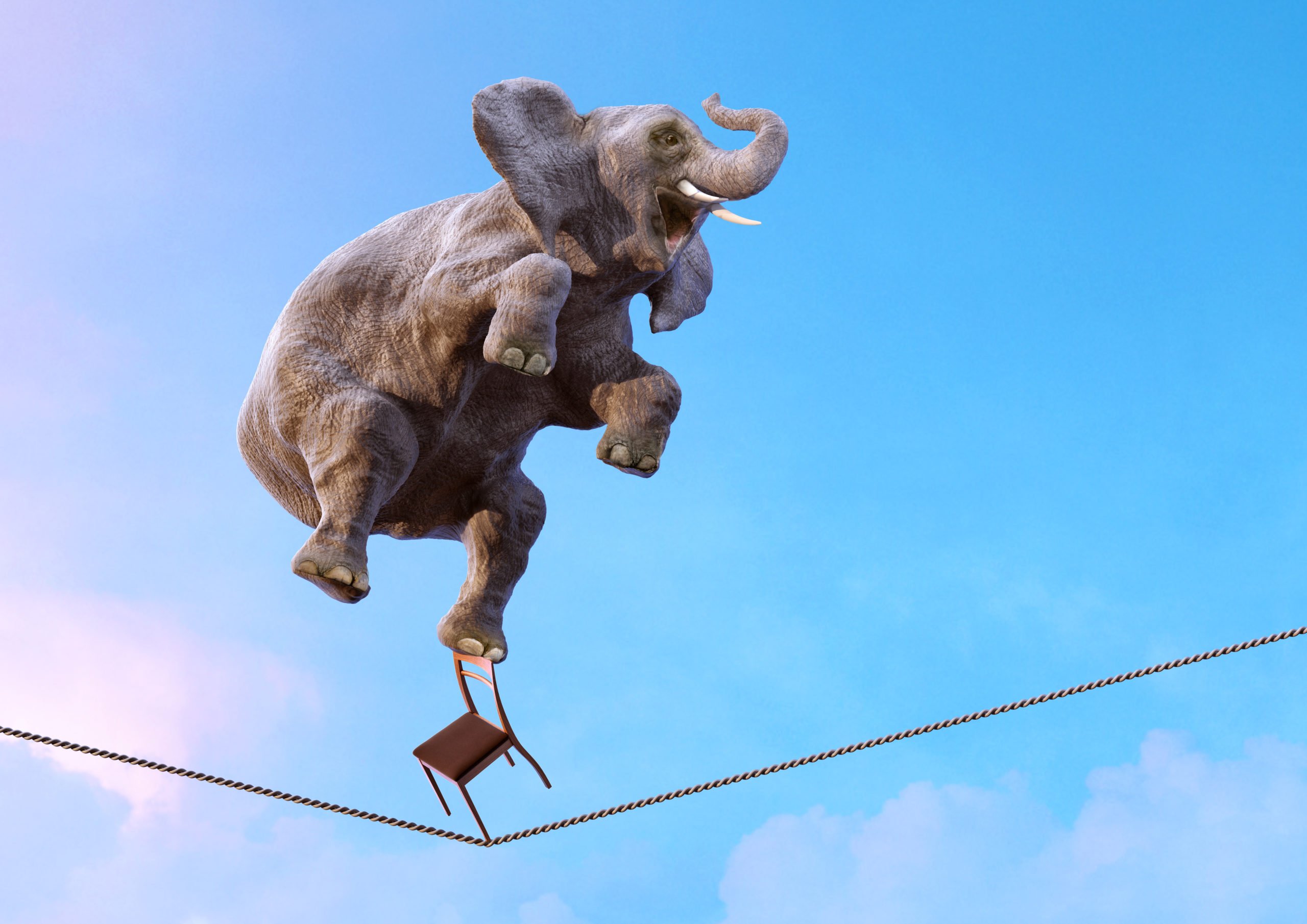 Cryptocurrency Stablecoins Thrive During Market Downturn and Panic Selloff