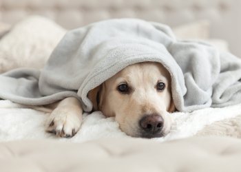 Analyst: This is the “Least Riskiest” Time to Buy Bitcoin, Even After 25% Drop