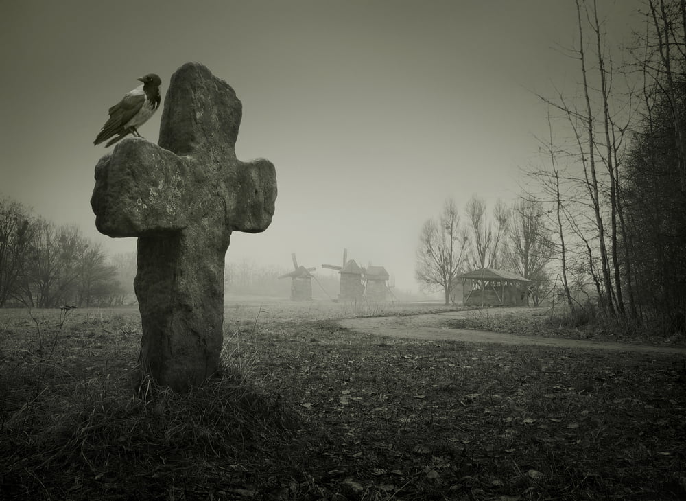 Bitcoin to Form ‘Death Cross’ For First Time since Sept 2025; Severe Correction Imminent?