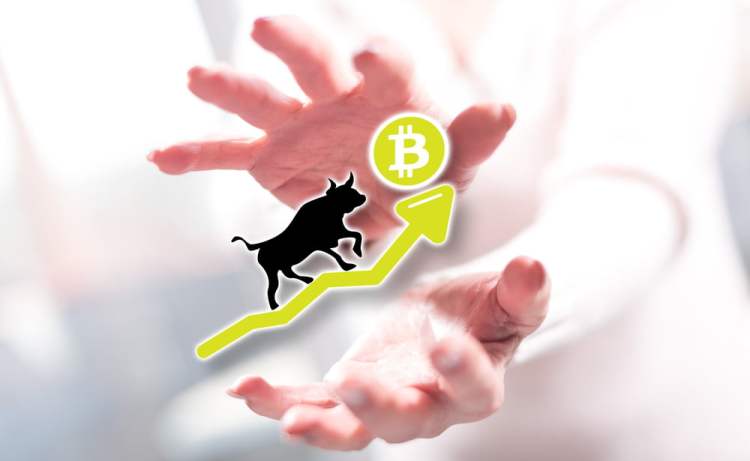 bitcoin, cryptocurrency, btc usd