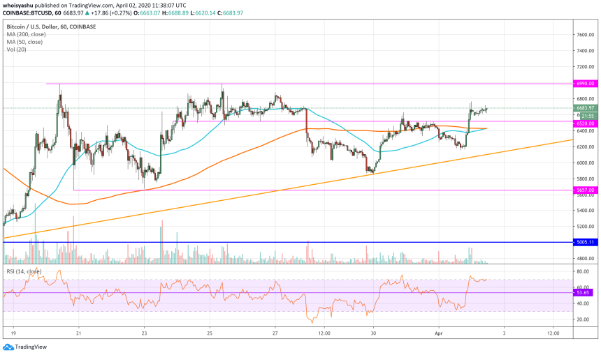 bitcoin, cryptocurrency, btcusd, coronavirus