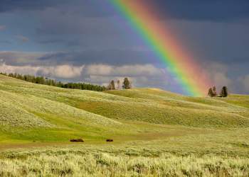 bitcoin btc rainbow chart reddit