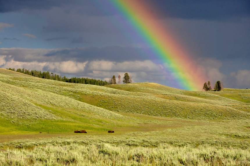 bitcoin btc rainbow chart reddit
