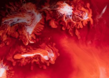 This Technical Index Forecasts a Bloody Week for the Cryptocurrency Market