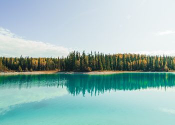 Tezos Outranks Bitcoin According to Weiss: Here’s Why it Doesn’t Matter