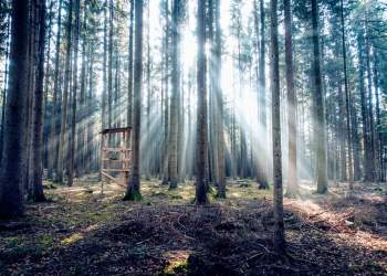 This One Financial Trend Will Make Bitcoin Succeed: Billionaire