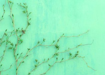 XRP Flashing Hints of Bullishness Despite Laggard Performance