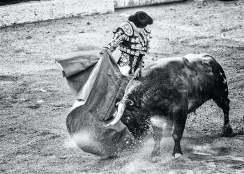 tezos cryptocurrency altcoin