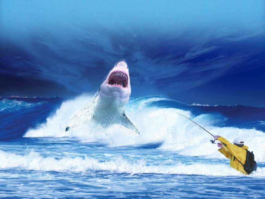 bitcoin great white shark harmonic pattern bearish