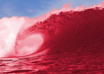 bitcoin bloodbath crypto btcusd