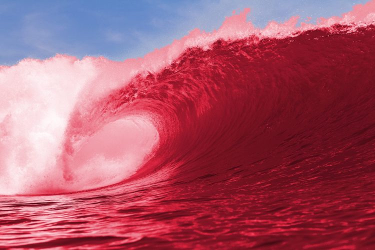bitcoin bloodbath crypto btcusd