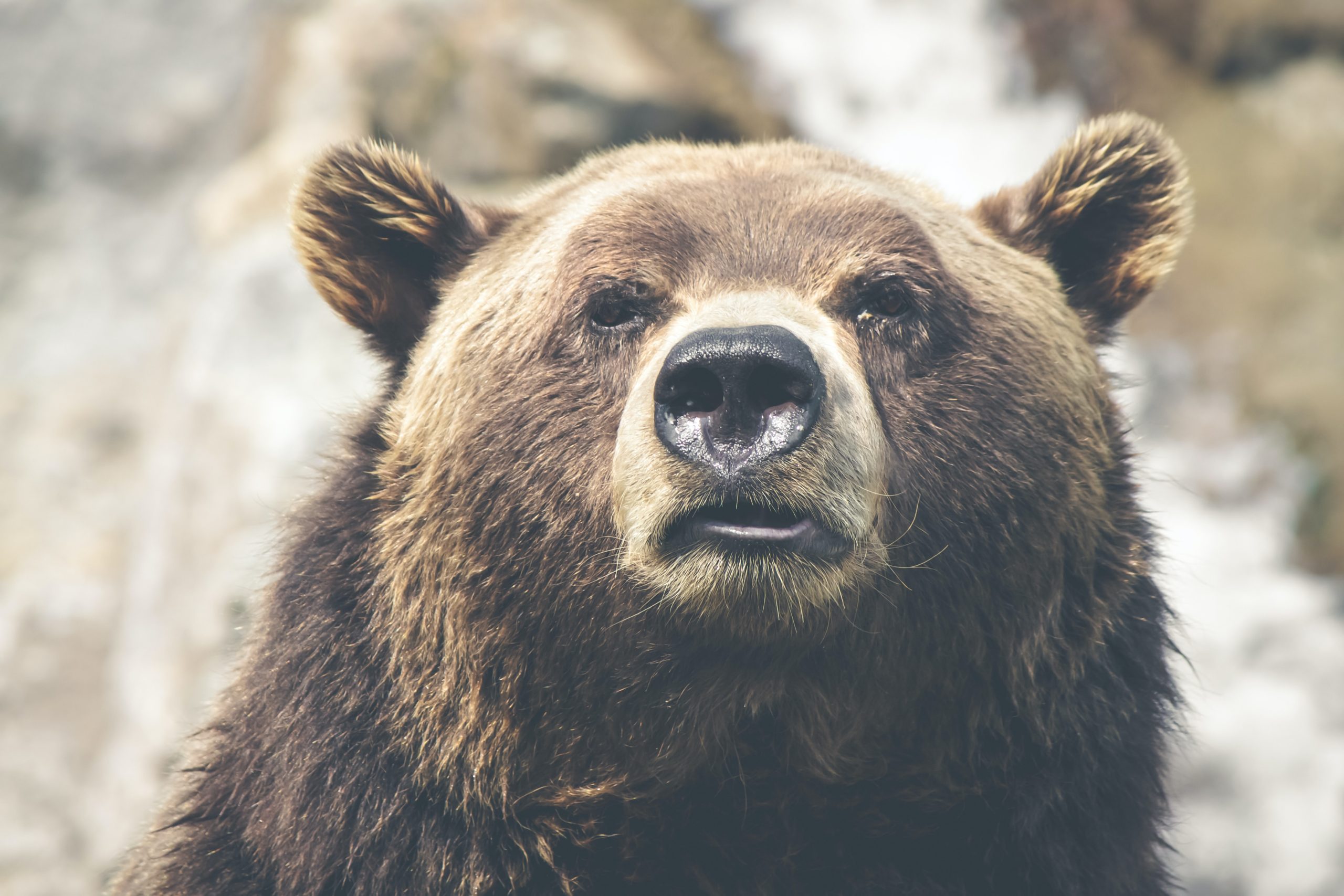 Technical Indicator that Predicted Bitcoin Crash to $3.6k in March Is Screaming Sell Again