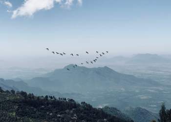 bitcoin, btcusd, s&p 500, cryptocurrency, crypto