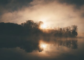 bitcoin price featured image