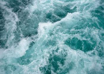 Data Shows Retail Traders Are Heavily Accumulating Bitcoin