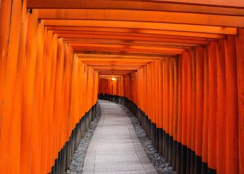 The “Path of Maximum Pain” Signals that Bitcoin Could Soon Explode Past $10,000