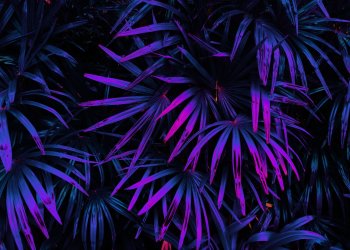 Crypto Tidbits: Satoshi Isn’t Dumping His Bitcoin, China ‘Bans’ Cryptocurrency Mining