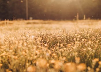 Featured image for Ethereum article