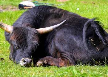 The Bull Run May Not Come Immediately After Bitcoin’s Halving as Many Expect