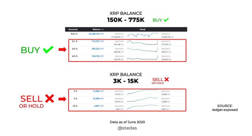 ripple xrp whale small fish crypto