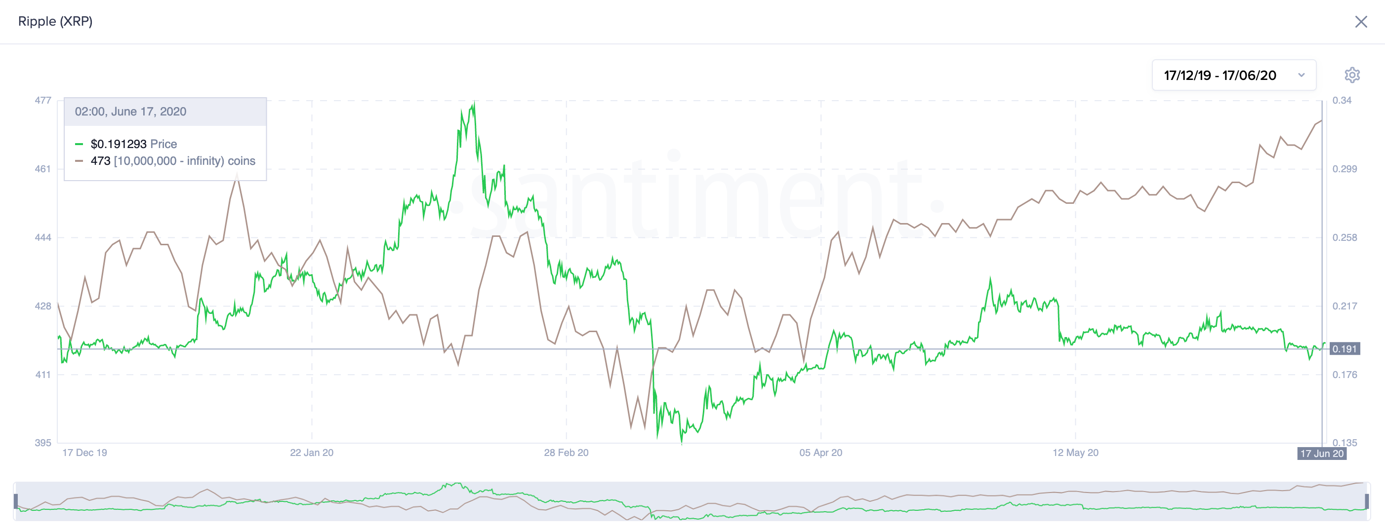 XRPのホルダー分布