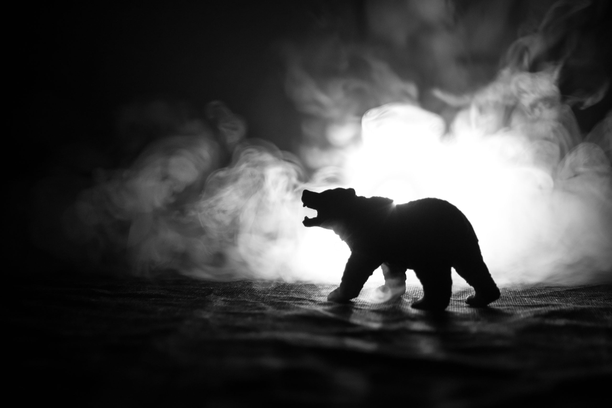 Bear dark. Силуэт медведя в ночи. Медведь силуэт Огненный. Силуэт медведя дымом. Bear short position Shutterstock.