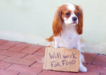 bitcoin dow jobless claims