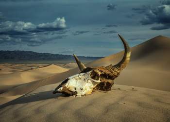 bitcoin ichimoku cloud weekly kumo