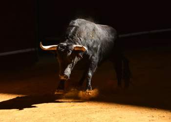 This Ethereum Liquidity Trend Suggests ETH Bulls Are Incredibly Strong