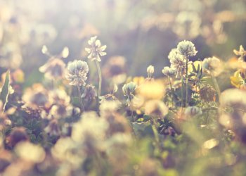 Bitcoin warren davidson