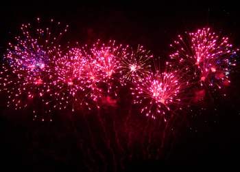 Key On-Chain Metric Shows Bitcoin Remains Bullish Despite $800 Crash