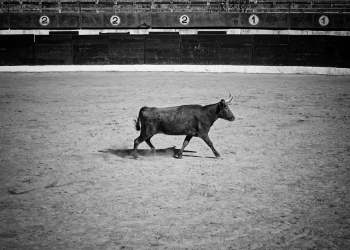 Bitcoin Heading into Bull Trap with Its Latest Price Rally; Here’s Why