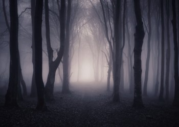 Bitcoin’s Outlook Darkens as Bearish Pattern Emerges: Here’s How Low It Could Go