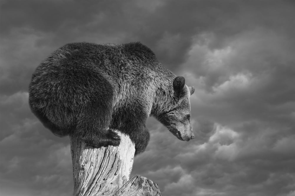 Ripple (XRP) Signaling More Downsides Unless It Surpasses $0.19